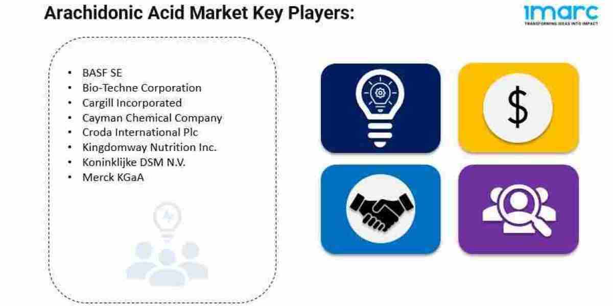 Arachidonic Acid Market is Projected to Reach US$ 422.7 Billion by 2032