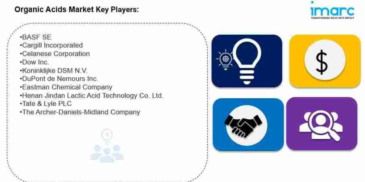 Organic Acids Market Size, Share, Trends & Forecast 2032