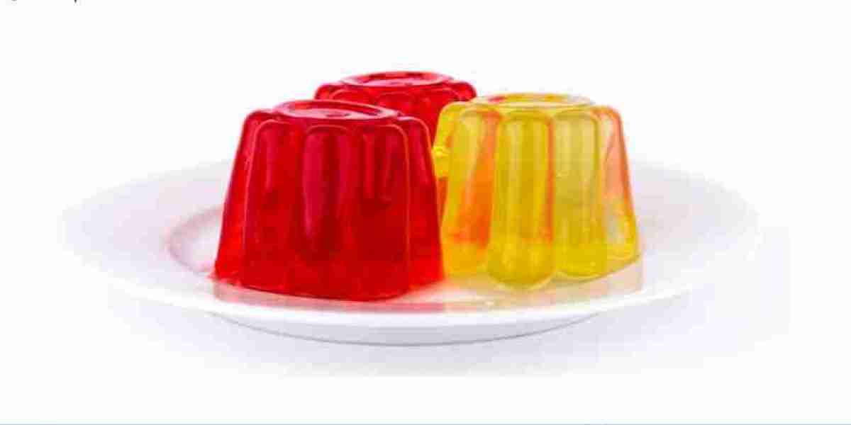 Gelatin Manufacturing Plant Project Report 2025: Key Insights and Strategies