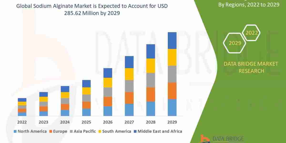Sodium Alginate Market Size, Share, Trends, Growth Opportunities, Key Drivers and Competitive Outlook