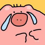 cccccc profile picture