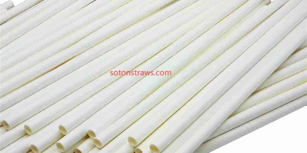 Building Guest Trust with Soton's Verified Paper Straws Manufactory Output