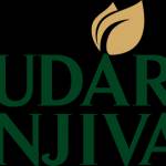 Udarsanjivani Profile Picture