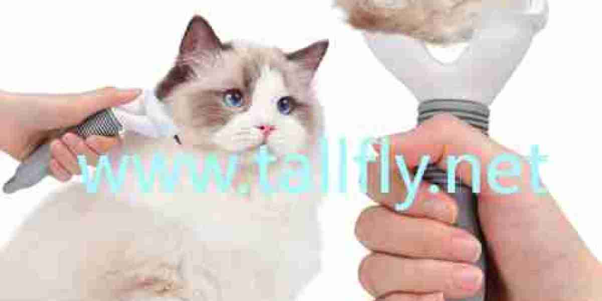 Which Features Make Knot Untying Combs Better For Sensitive Animals