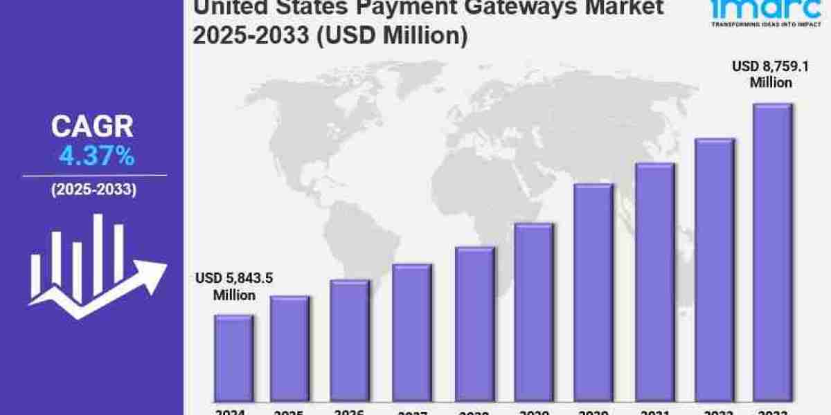 United States Payment Gateways Market Size, Share, Industry Overview, Growth and Forecast 2025-2033