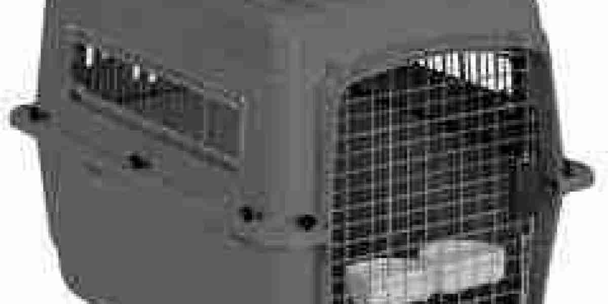 Pawtechpet Pet Carriers: Versatile Transport for Pets