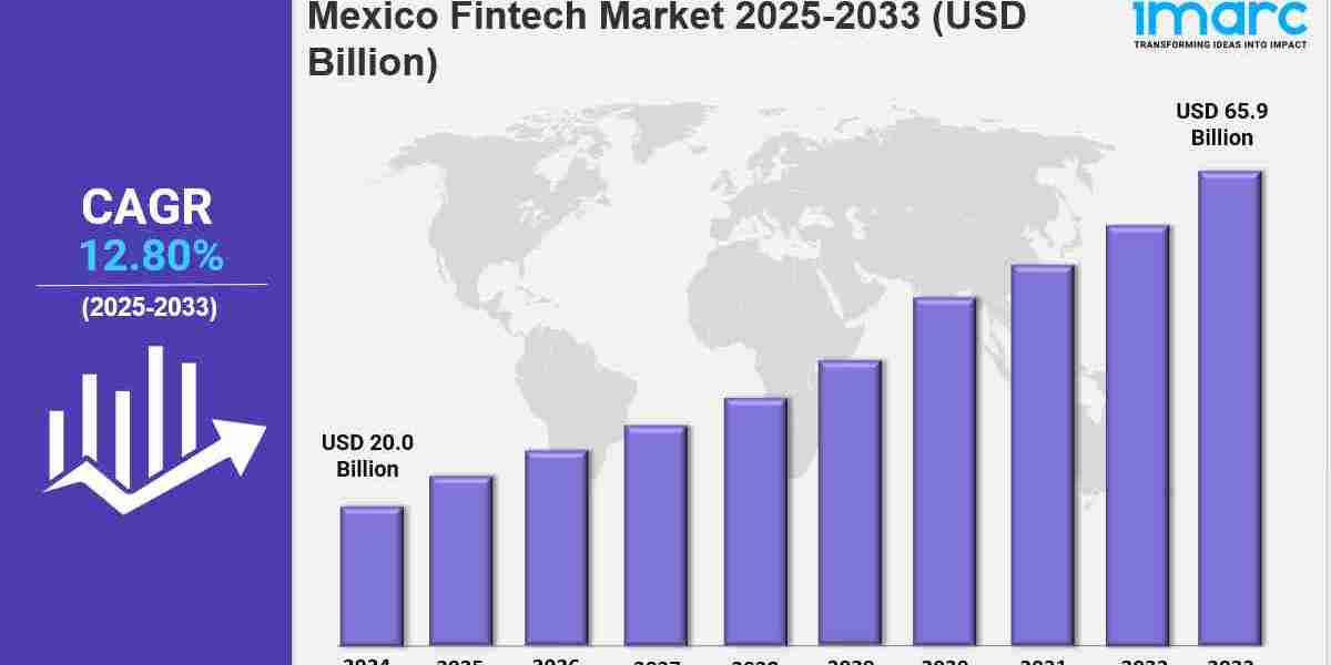 Mexico Fintech Market Trends, Growth Drivers, and Future Opportunities 2033