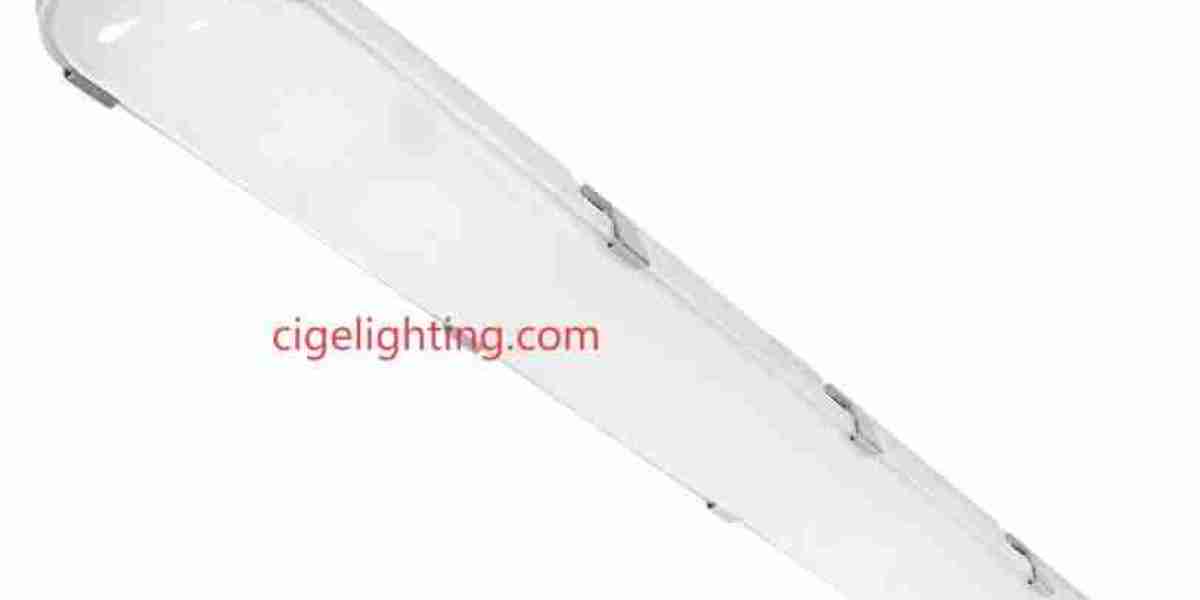 Defy Harsh Conditions: Cige 40w Triproof Light