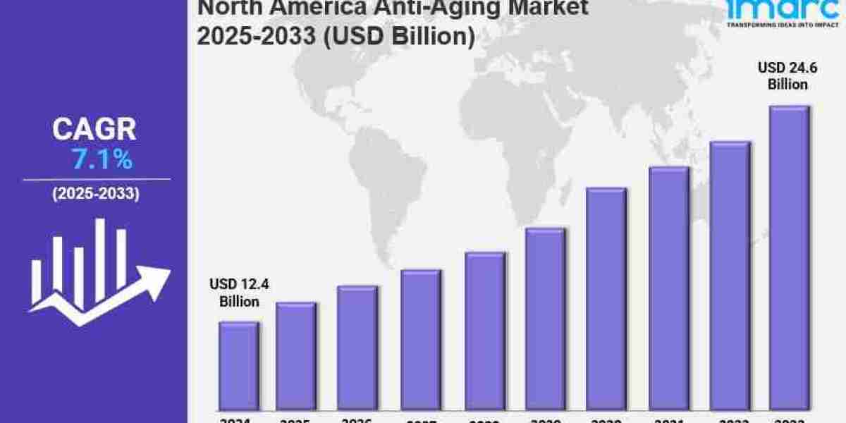 North America Anti-Aging Market Trends, Drivers, and Growth Opportunities 2025-2033