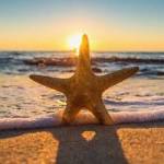 mark Profile Picture