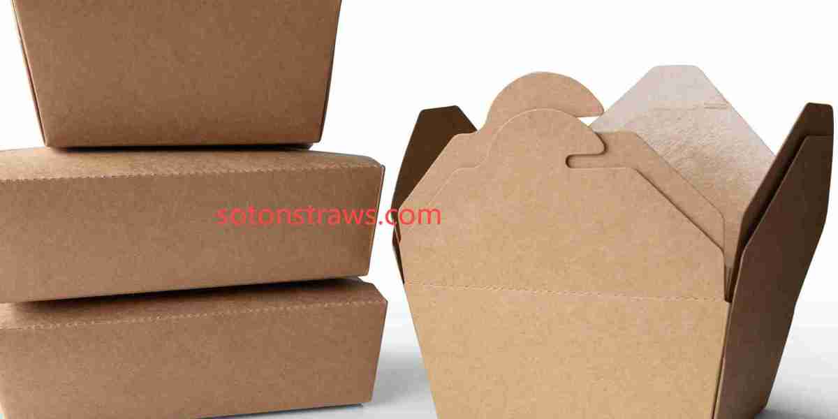 Soton – Where Disposable Kraft Box Factory Meets Innovation