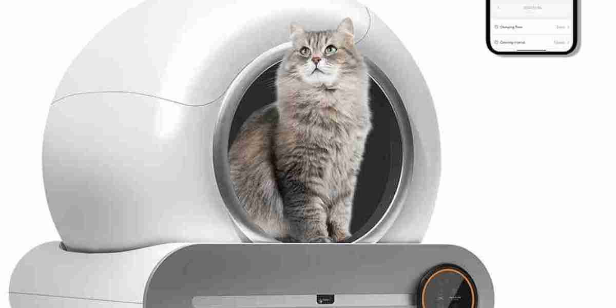 Pawtechpet Automatic Cat Litter Box Factory: Smart Hygiene Solutions