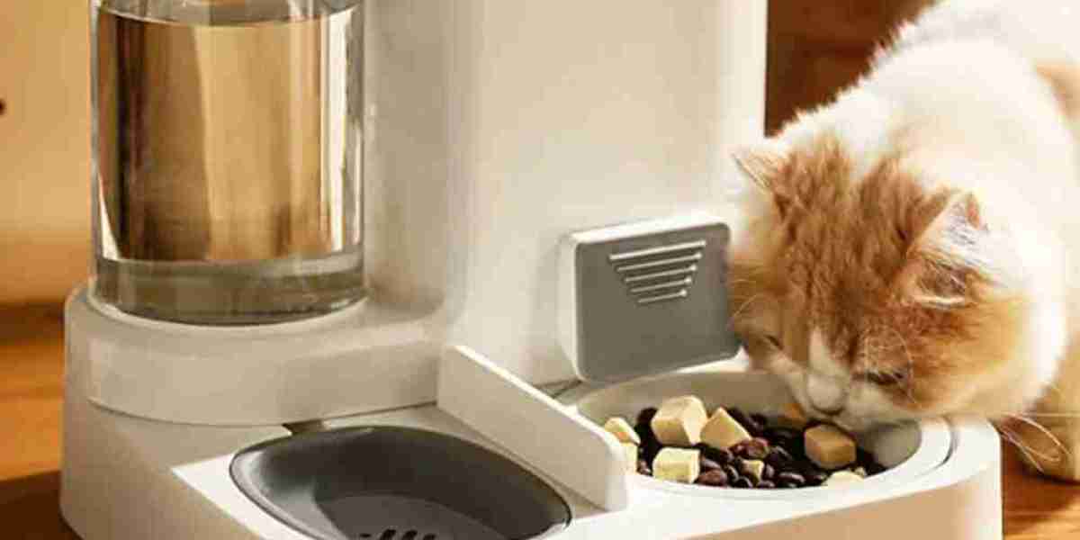 Pawtechpet Intelligent Pet Food Dispenser Manufacturer: Reliable Daily Care