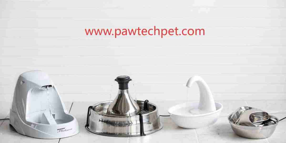 Can Pawtechpet Cat Water Fountain Manufacturer Simplify Daily Care