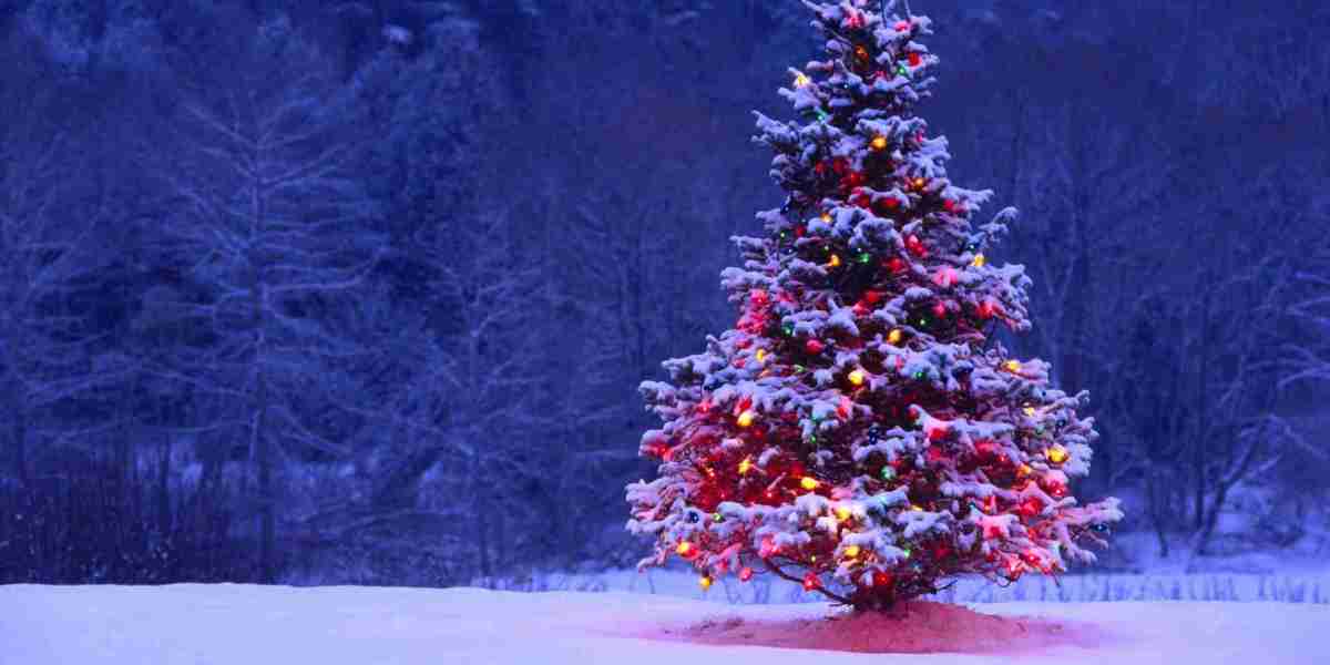 The Timeless Charm of Christmas Trees: From Tradition to Trend