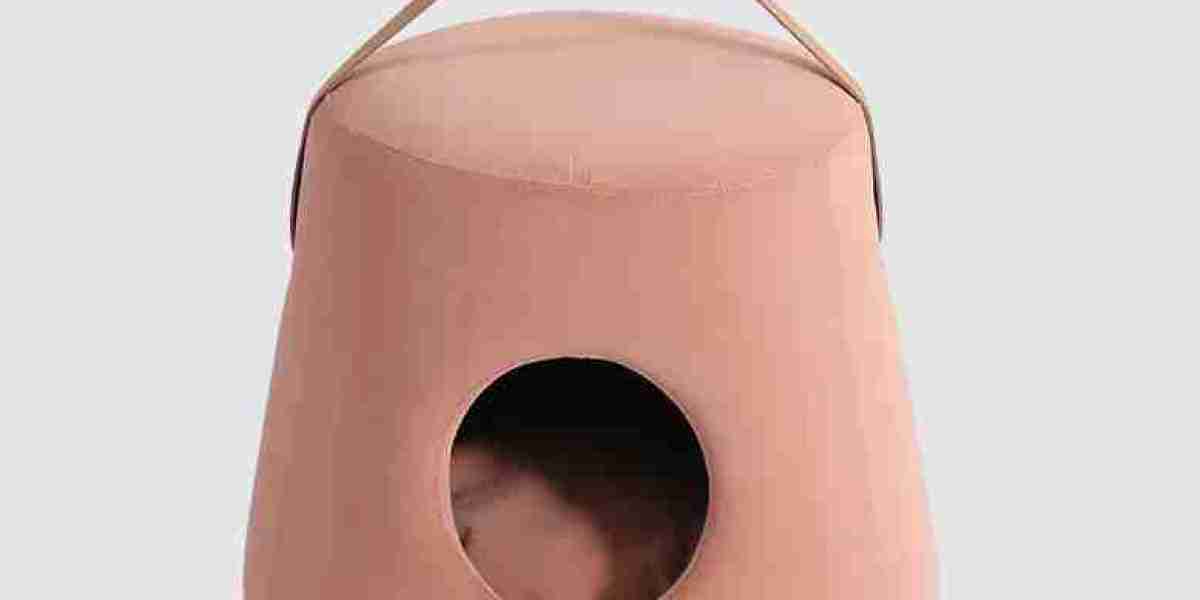 Crafted for Companionship: The Durable Wood Frame Pet Sofa