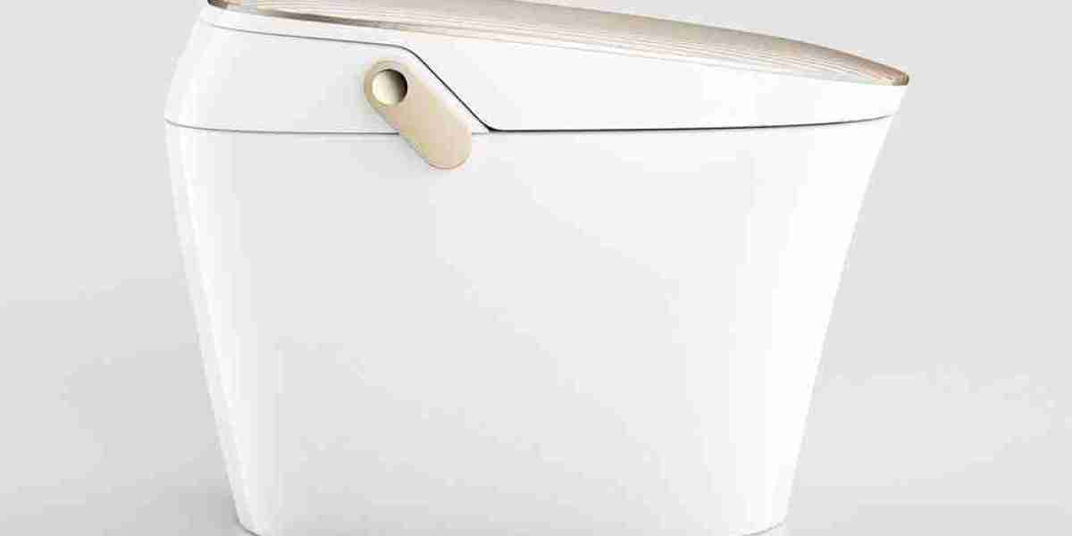 How Can Electric Toilet Technology Improve Hygiene In Facilities?