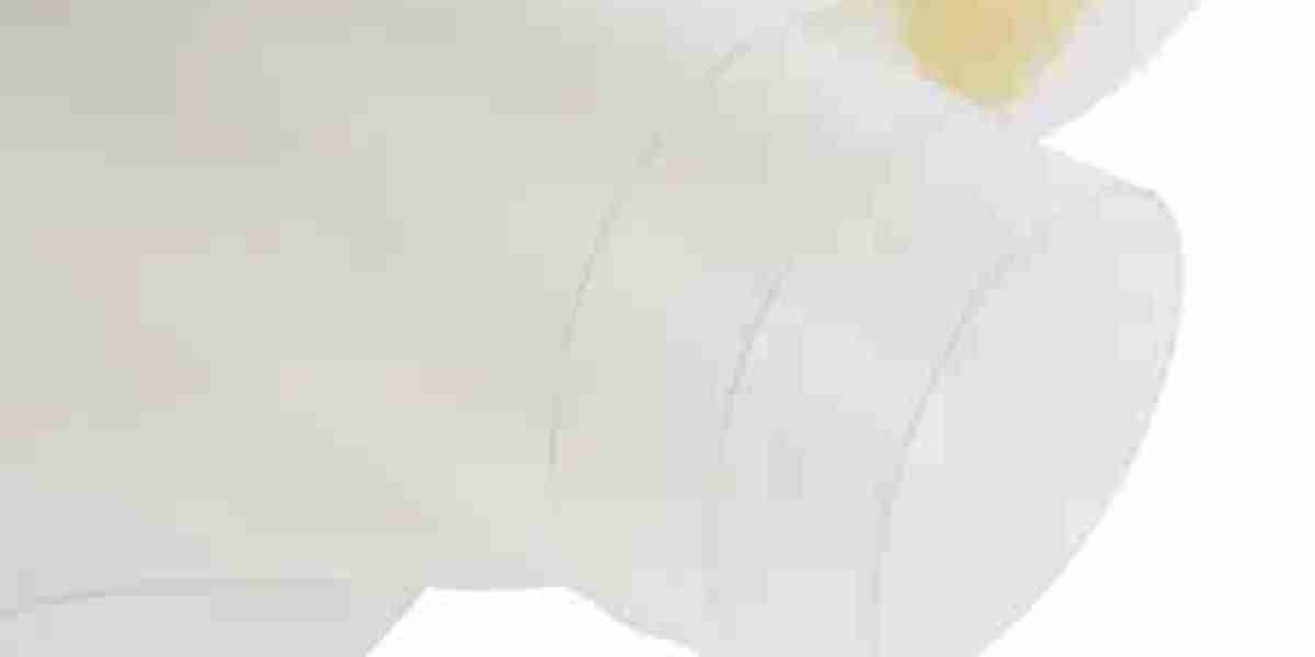 Shanghai MSD PETG Film: The Best Weather-Resistant Banner Material