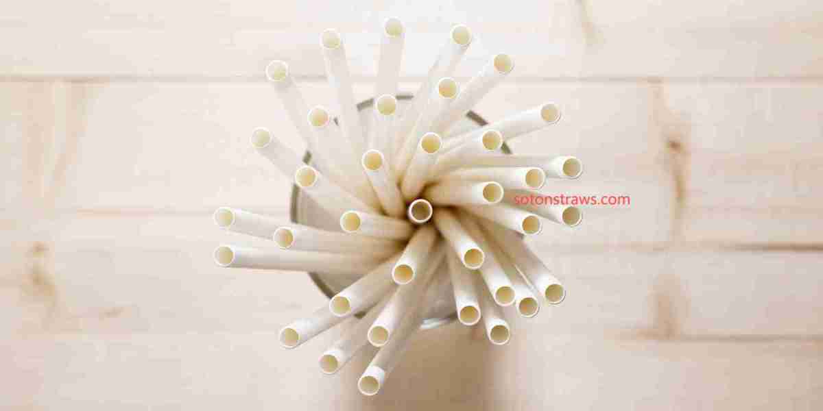 Soton's Vision for Eco-friendly Straws Manufacturer Innovation