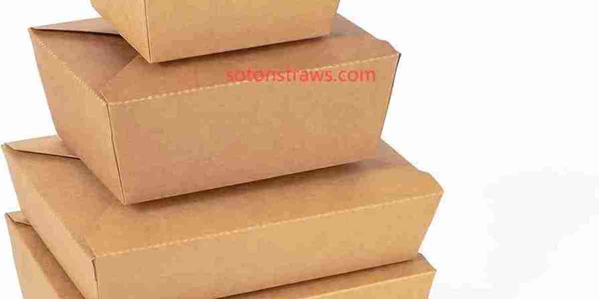 Natural Packaging with Soton Disposable Kraft Box Manufacturer