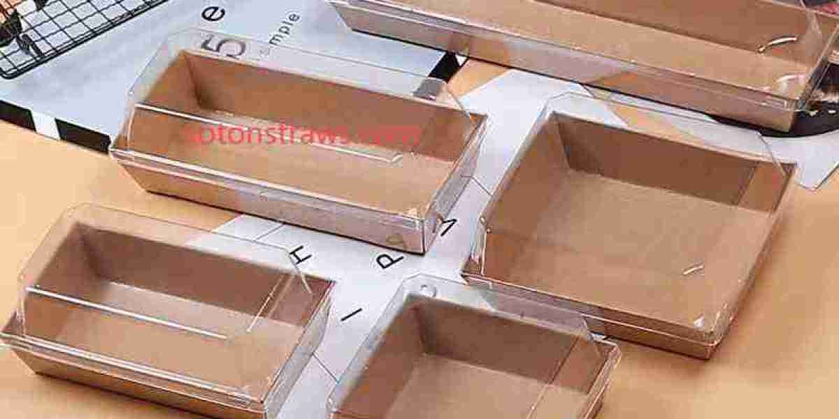 Soton – Trusted Disposable Kraft Box Manufacturer