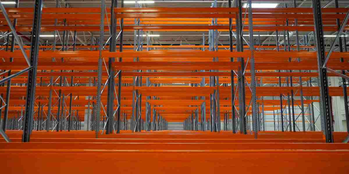 Tissue Engineering Scaffold Technology Market Outlook and Strategic Forecast to 2034