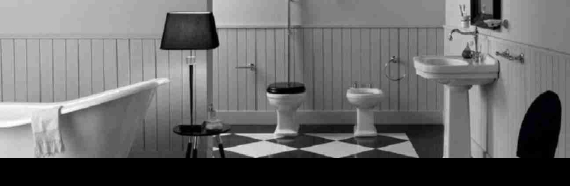 Saniterica Cover Image