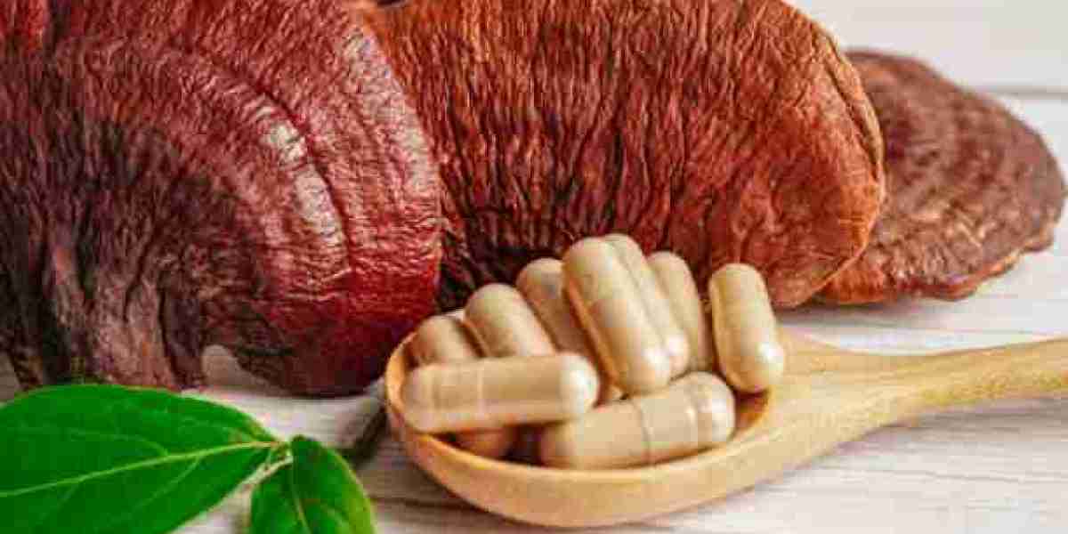 Reishi Mushroom Extract Market Segmentation by Type, Application, and Geography