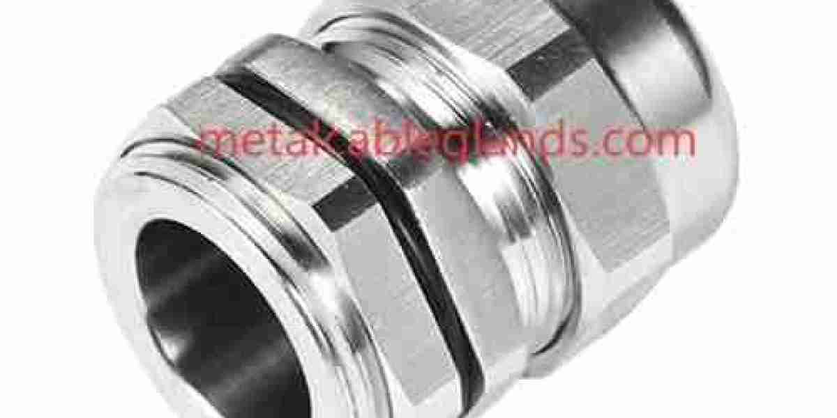 Mechanical and Environmental Protection with Stainless Steel Cable Glands