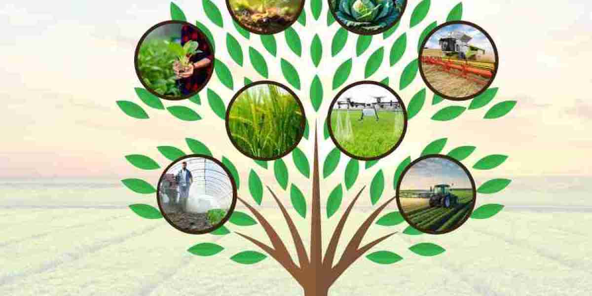 Innovations Driving the Biological Seed Treatment Market Expansion