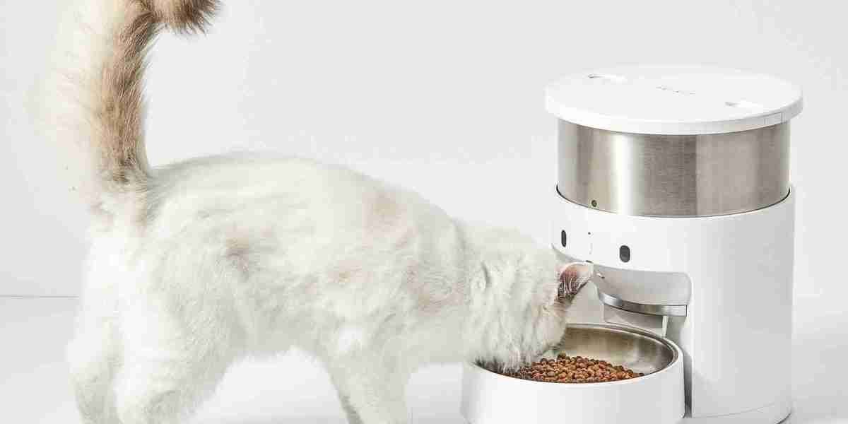 Could Pawtechpet Pet Smart Appliances Transform Your Routine
