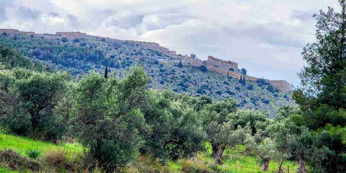 From Vacation to Investment: The Rise of the 3-Room Apartment