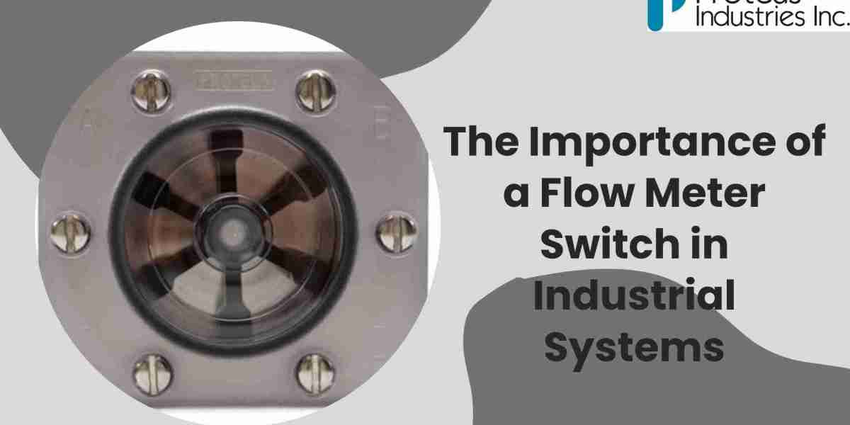 The Importance of a Flow Meter Switch in Industrial Systems