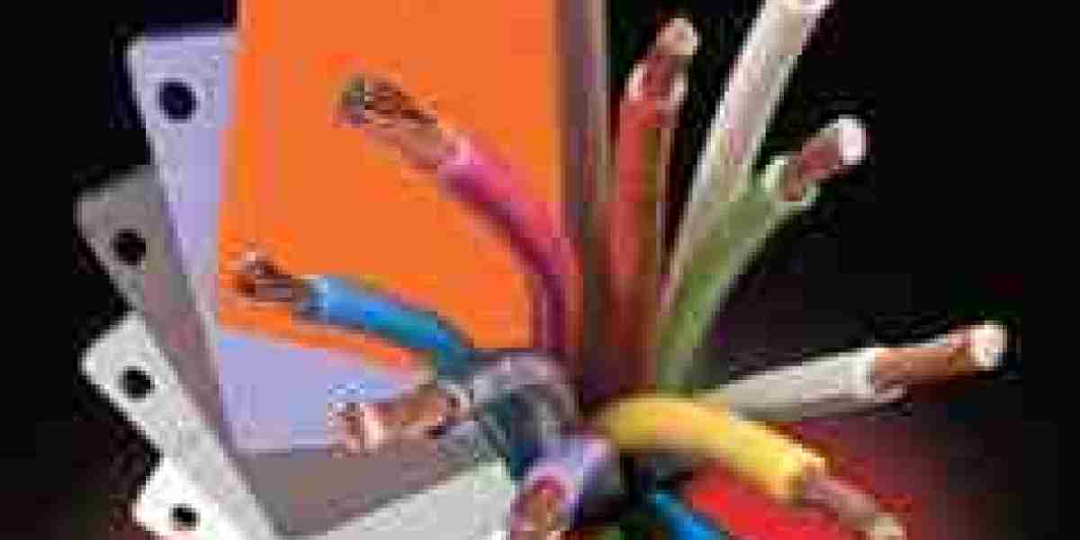 The Rise of Fluoropolymer Masterbatch Market Growth Through Innovation