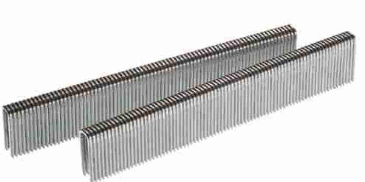 Advanced Heavy Wire Staples by CNCHAOYUENAIL for Maximum Holding Power