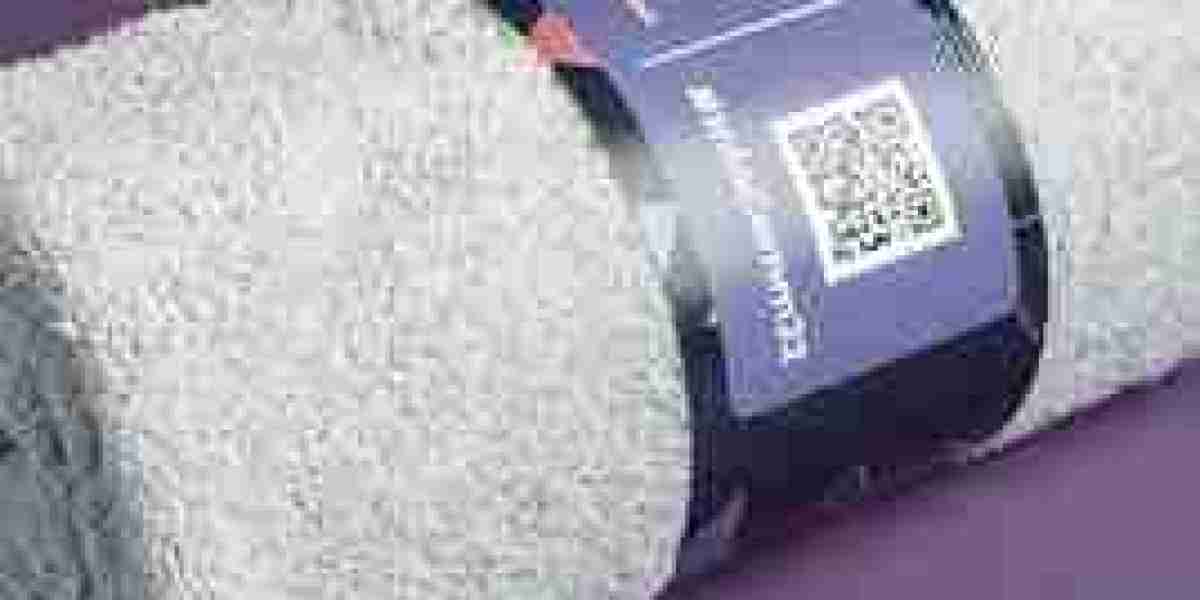 Belly Band Packaging Wholesale: Premium Custom Packaging Solutions for Modern Brands