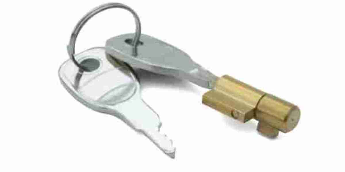 Shared Design Principles in Automotive Lock Manufacturing