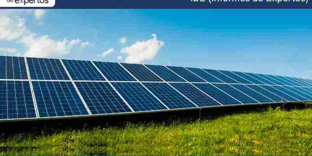 Mercado de Energía Solar en Argentina: Crecimiento Sostenido