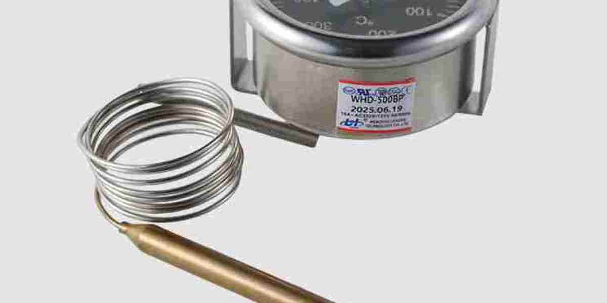 Applications of Manual Reset Limit Thermostat in Modern Systems