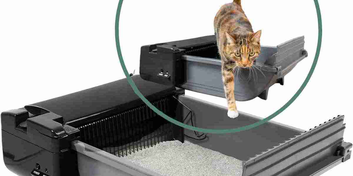 Future Pet Care with Smart Cleaning Systems