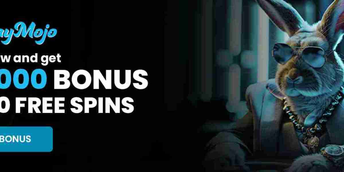 Playmojo Insights Into Free Spins No Deposit New Zealand Searches