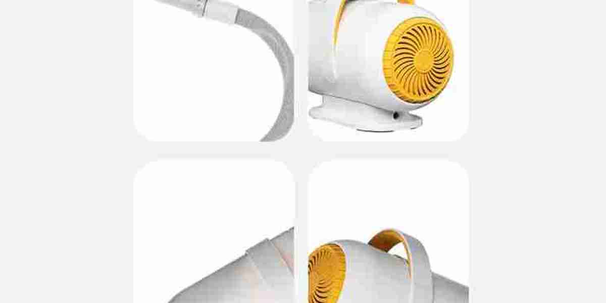 How Smart Pet Drying Improves Pet Health and Safety