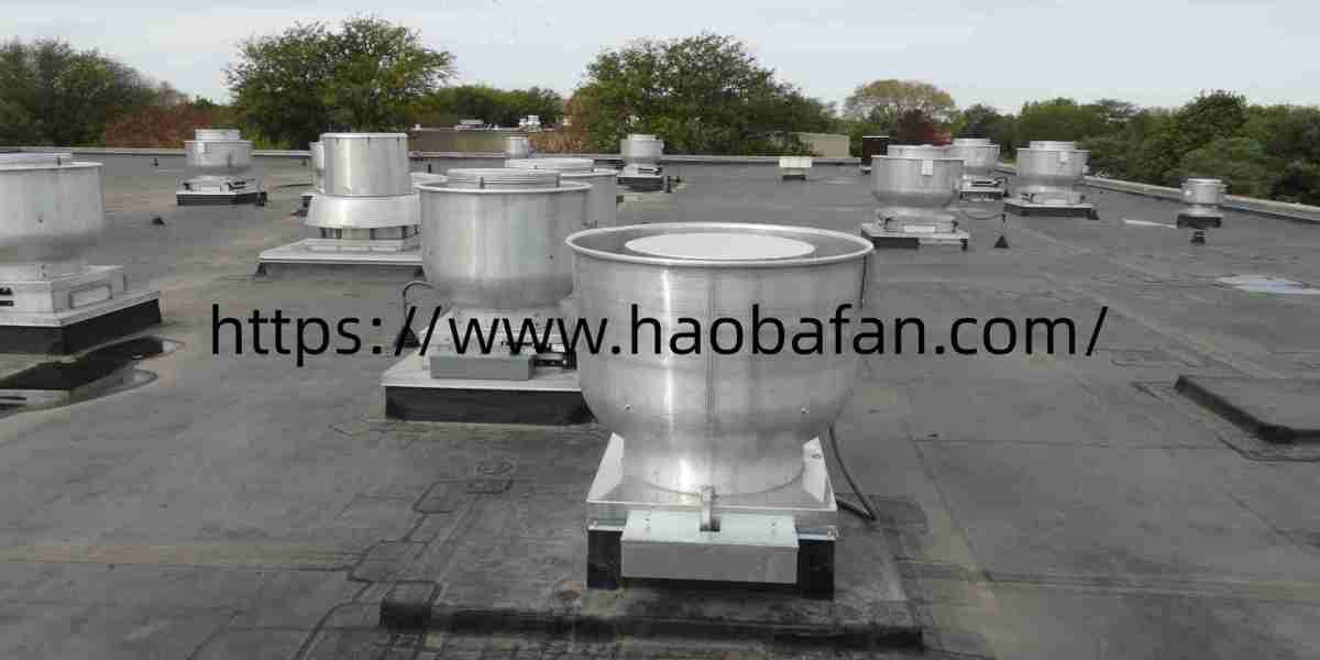 Which Site Details Influence Haoba Centrifugal Roof Ventilators Setup And Airflow Performance?