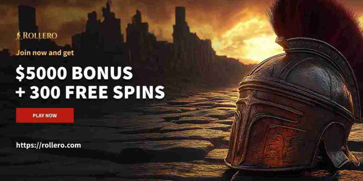 Best Online Pokies New Zealand Resources for Entertainment and Digital Discovery