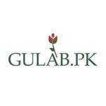 Gulab PK profile picture