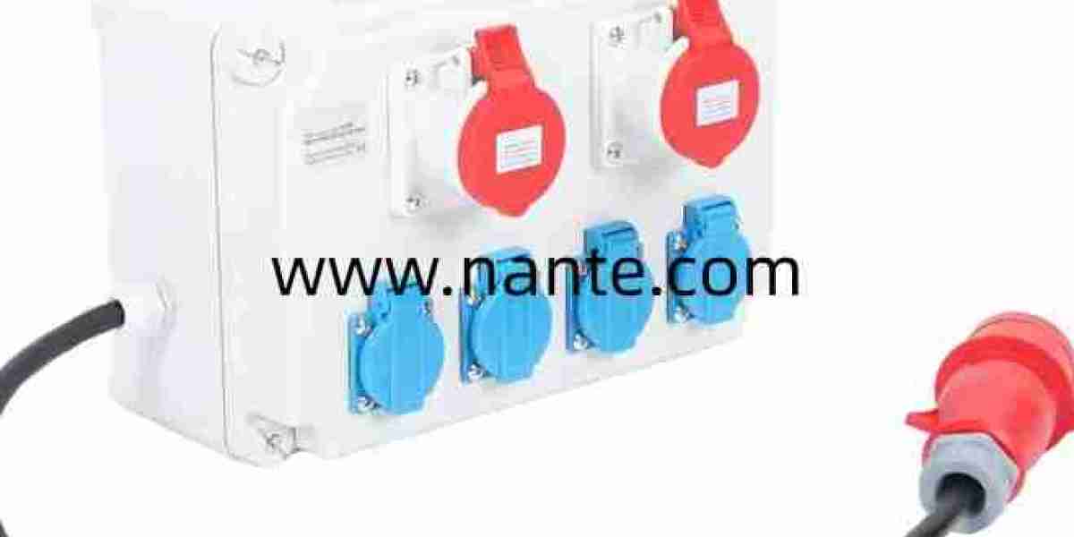 Portable Distribution Box Nante: What Shapes Mobility Use?