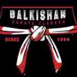 Balkishan Karate Classes profile picture