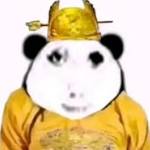 Wenda Electronics Profile Picture