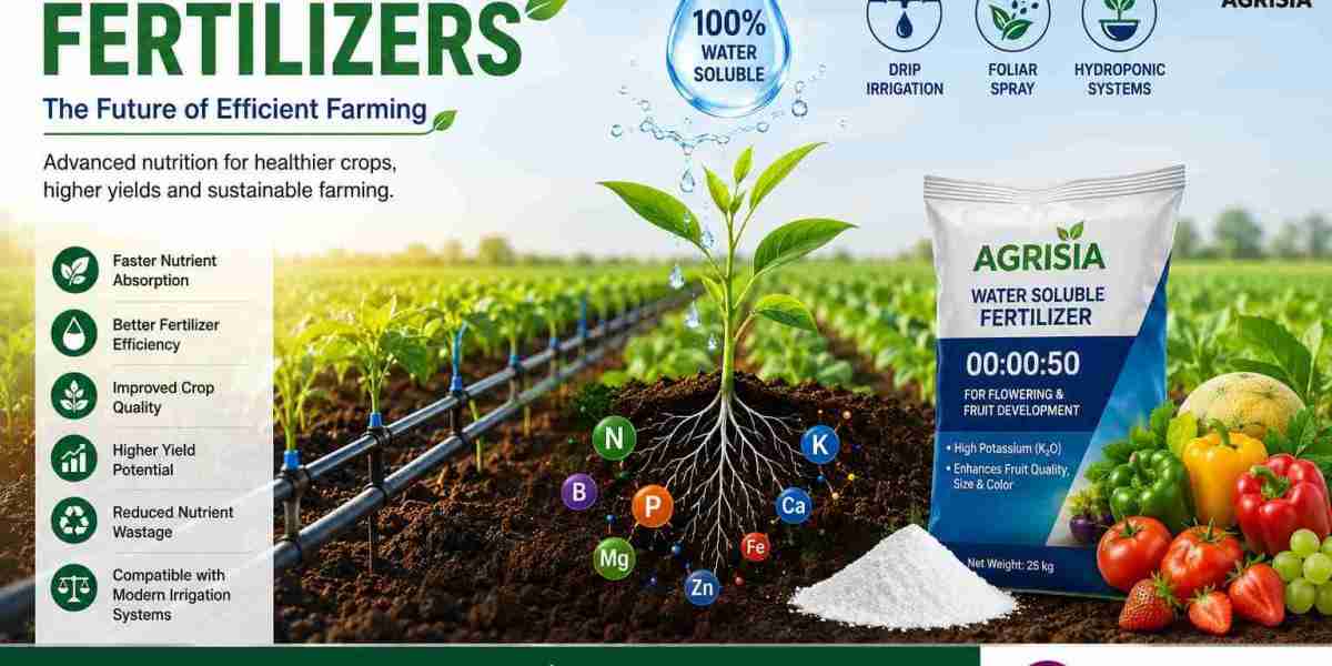Water Soluble Fertilizers: The Future of Efficient Farming
