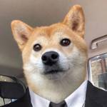 Jianma Jianma profile picture